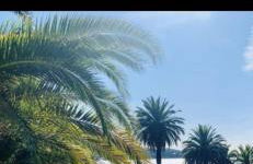 Studio avec vue mer et terrasse - Foto 22