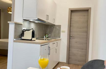 Apartment Komljenovic - Photo 74