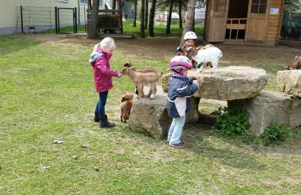 Ferienwohnung Schulze - Photo 31