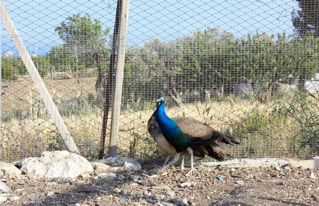 Agriturismo La Casa di Bacco - Foto 32