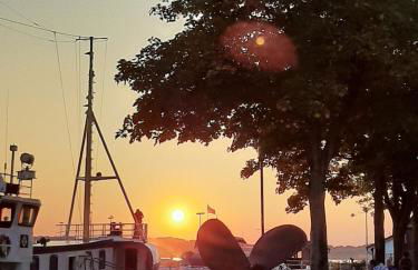 Penthouse Ferienwohnung Auszeit, gerne mit Hund, WLAN inkl. - Foto 17