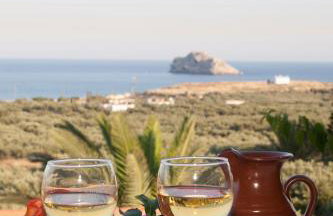 Liviko View - Foto 29