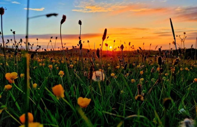 Sea View hut Sleeps 4/6 - Photo 16