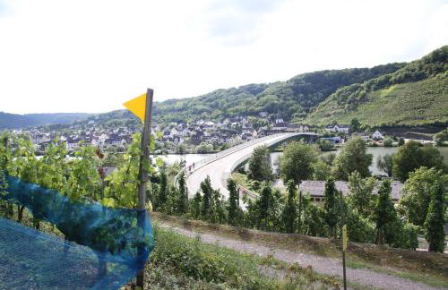 Ferienwohnungen im Moseltal - Foto 9