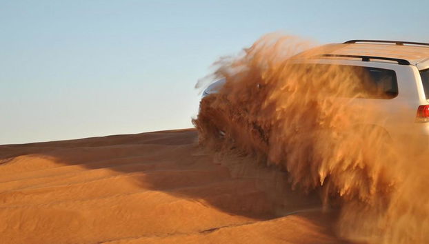 Safari matutino en 4x4 - Foto 5