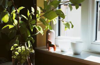 Flecksches Gut - Foto 15