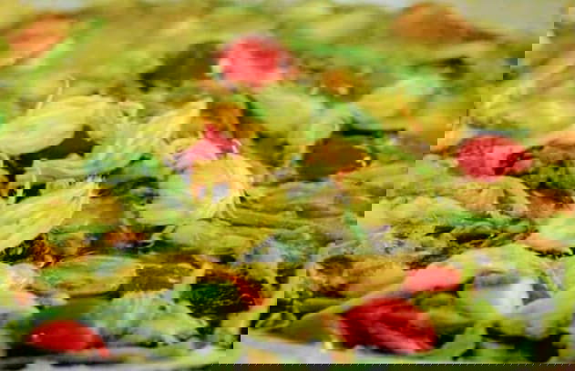 Masseria Fontana dei Fieri - Foto 24