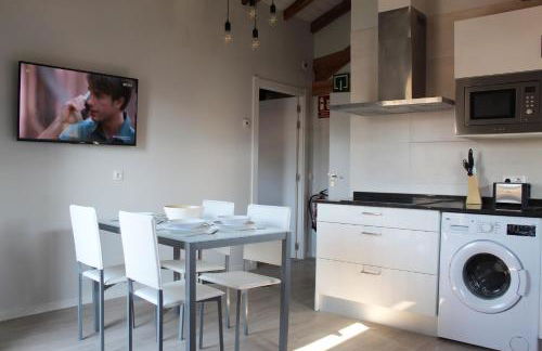 Apartamentos Elizondo Center - Foto 12