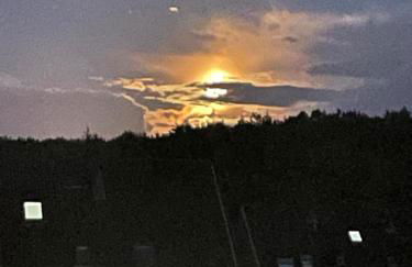 Ferienwohnung Fördefreude - Photo 39