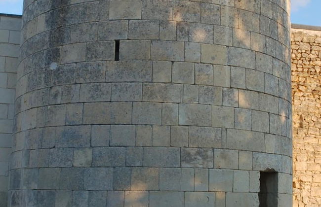 Manoir du Bois Noblet - Foto 49