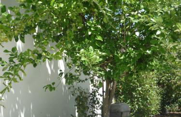 Casa da Terra - Foto 2