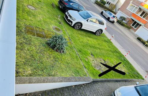 Zur Seeschwalbe - Foto 19