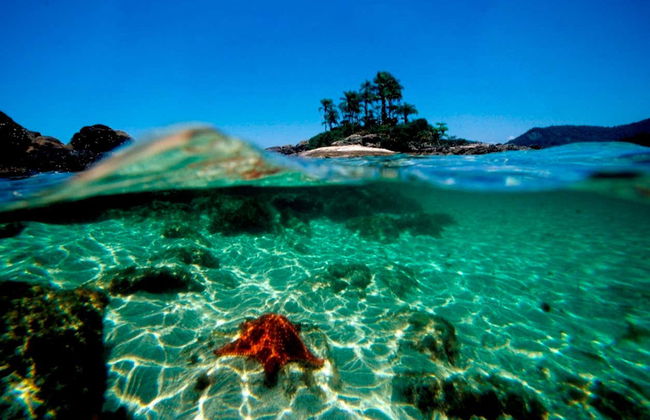 Paseo en barco por las Ilhas Botinas + Playas de Angra dos Reis - Foto 5