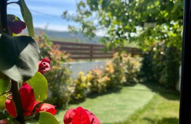 BLUE DREAM Koropi Pelion Milies South Pelion - Photo 47