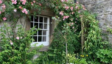 Chantry Cottage Holiday Cottage Ashford in the water - Foto 2, Garden view