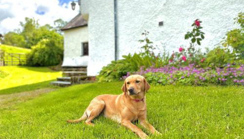 5 Bed in Kendal oc-88095 - Foto 5, Other