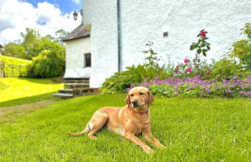 5 Bed in Kendal oc-88095 - Foto 5