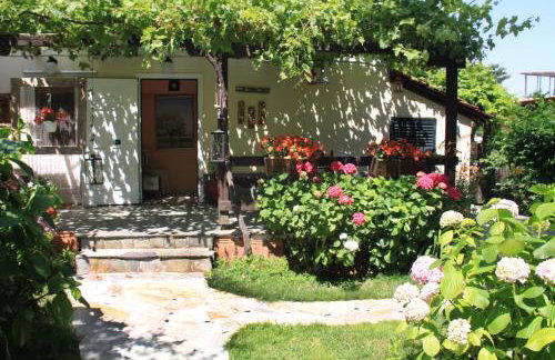 Fasoli Studios - Foto 11