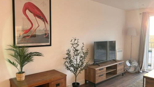 Beautiful one bed apartment - Photo 5