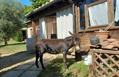 Agriturismo Gli Archi - Foto 24