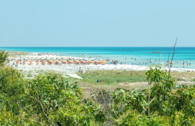 Casa vacanza Appartamento Spiaggiati - Foto 46