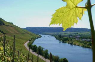 Neue Loft im alten Kelterhaus - Urlaub im Wein- und Ferienort Bekond - Foto 9