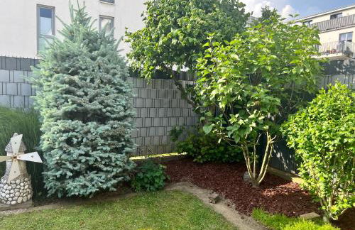 Barrierefreies Ferienhaus mit Garten bei Köln - Foto 11