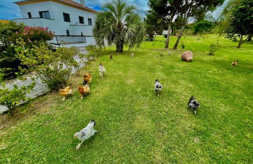 Solar Pontes - Photo 39