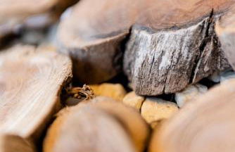 Ferienwohnung Inselblick - Foto 22