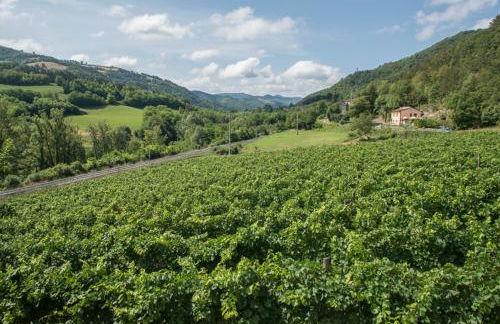 Agriturismo PEDROSOLA - Photo 36