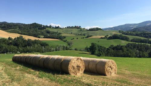 Casa Di Cinti - Foto 5, Other