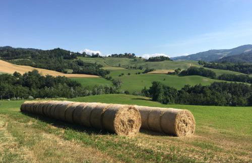 Casa Di Cinti - Foto 5