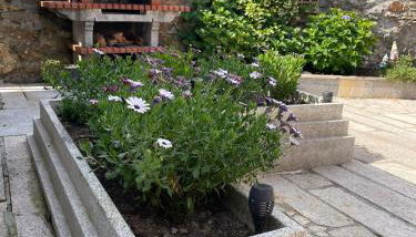 A Casa do Abuelo - Foto 3