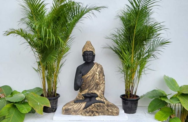 Buddha Tree Home Stay - Foto 14