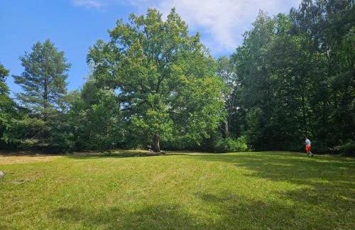 Dom z linią brzegową Narwi 3 - Photo 5