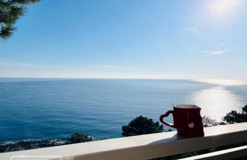 Duplex vue mer EXCEPTIONNELLE en Corse du sud proche plage - le 180Corse - Foto 25