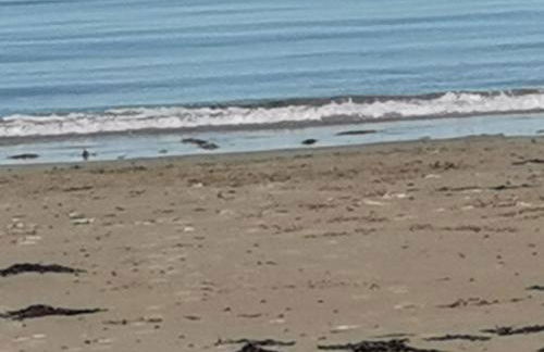 Snowdonia Sunbeach Holiday Sea and Mountain view - Photo 27