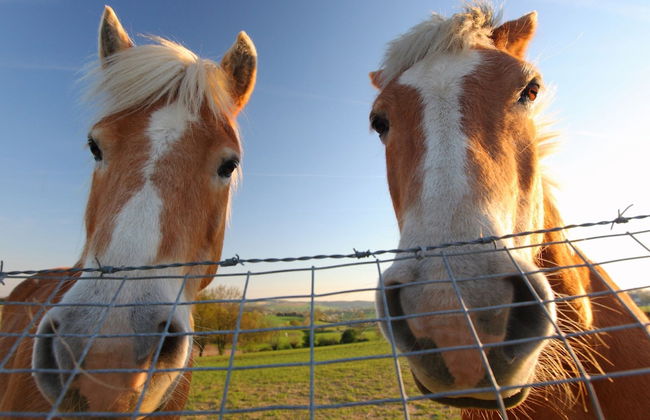 Well-kept Bungalow With Fireplace Near Valkenburg - Photo 37