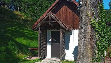 Domek Sosnówka - Foto 2, Garden