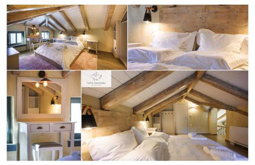 Wild Lavender Mountain Resort - Photo 16