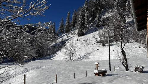 Mitteralm-Kreuth - Foto 4