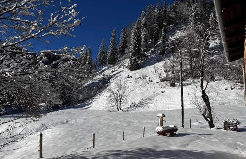 Mitteralm-Kreuth - Foto 4