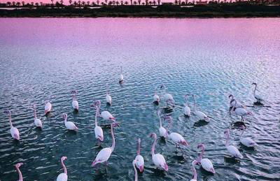 Casa sul Mare a Putzu Idu - Grazie di Esistere - Foto 33