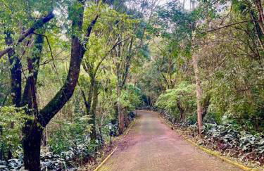 Studio Completo Super Aconchegante - Foto 42