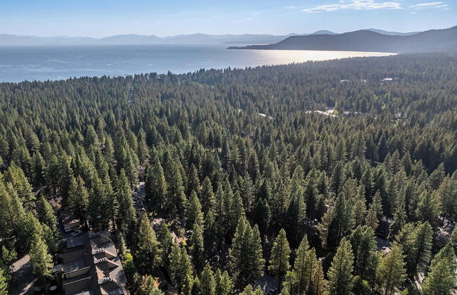 Tahoe Dreamin by Avantstay Central Location - Photo 33