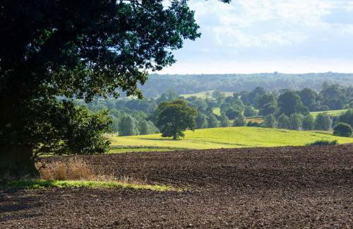 The Stables, relax in 5 star style and comfort with lovely walks all around - Foto 31