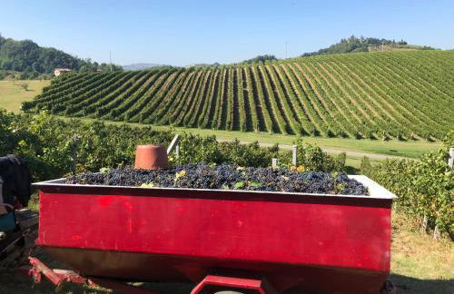 Corte D'Aibo - Photo 15