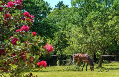 Villa spacieuse à Concarneau avec piscine privée - Photo 35