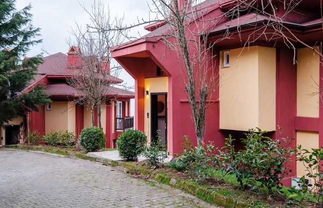 Villa With Spacious Garden in Sapanca - Photo 31