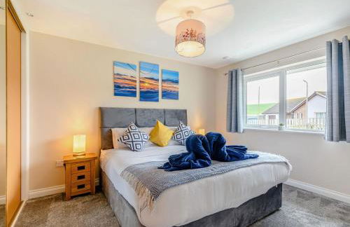 Oystercatcher - Foto 12